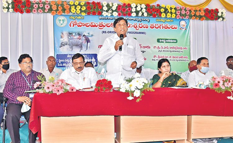 ప్రతి ఇంటికీ బర్రెలు