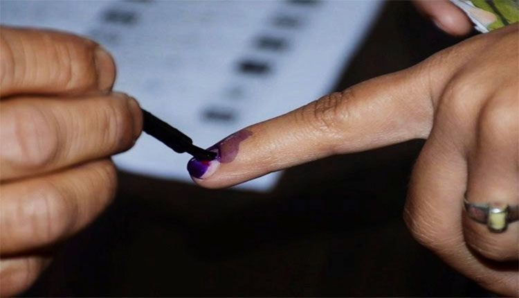 126 స్థానాలు.. బరిలో 946 మంది అభ్యర్థులు