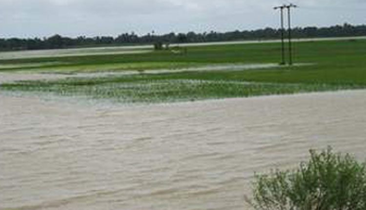 పగిలిన ఎత్తిపోతల పథకం పైపులైన్‌.. నీట మునిగిన పొలాలు