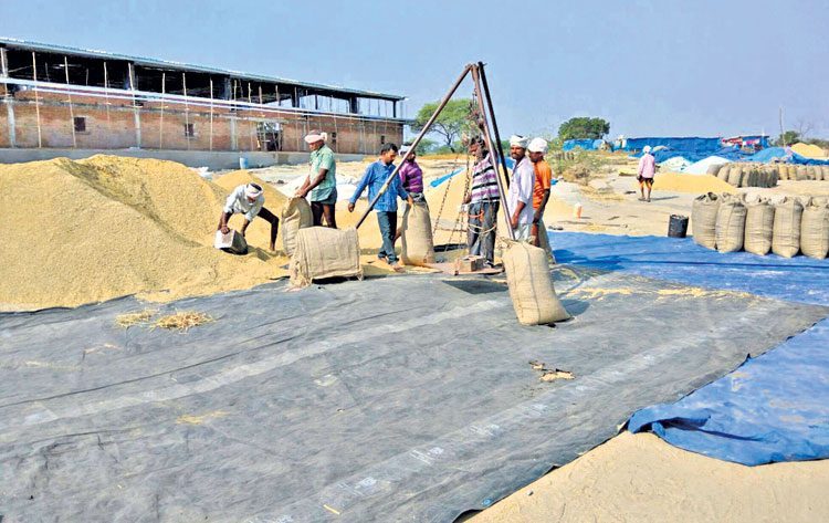 పల్లెల్లోనే..కొనుగోళ్లు