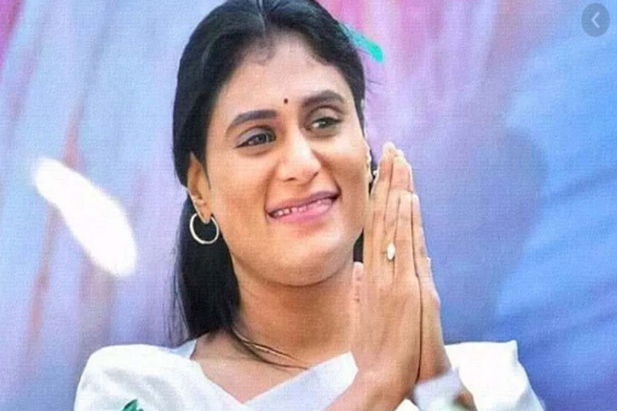అక్కడి నుంచే పోటీ చేస్తా.. : షర్మిల