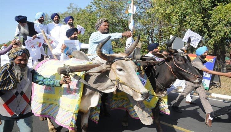 ఎడ్ల‌బండ్ల‌పై అసెంబ్లీకి వ‌చ్చిన ఎమ్మెల్యేలు..