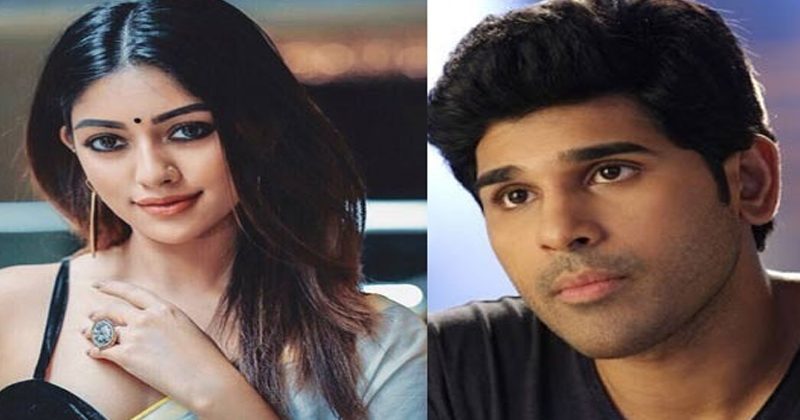అను ఇమ్మాన్యుయేల్తో అల్లు వారబ్బాయి లవ్ స్టోరీ ?