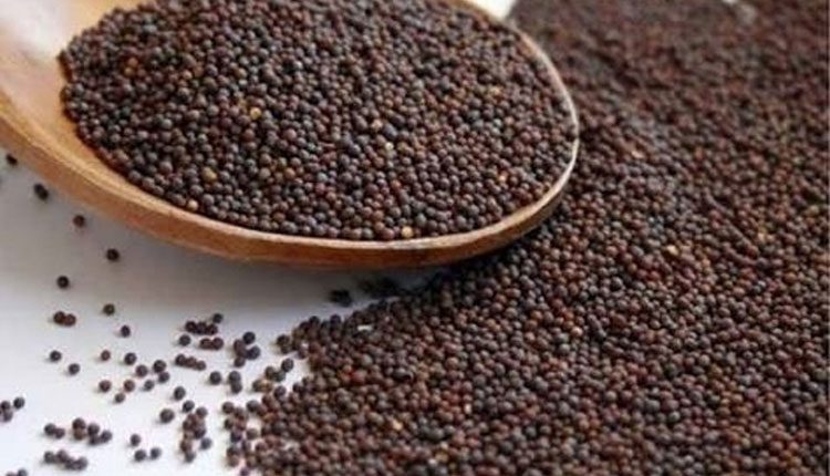 ఆవాలతో అద్భుతమైన ప్రయోజనాలు..!