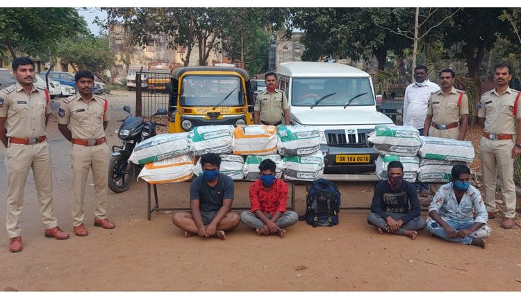 300 కిలోల గంజాయి పట్టివేత