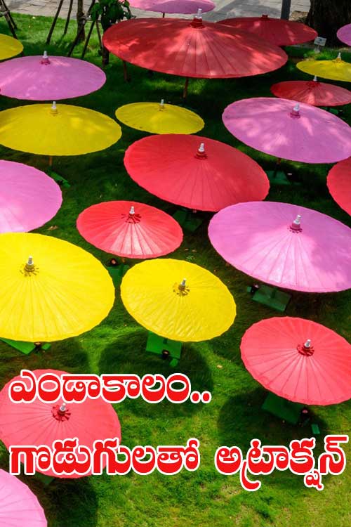 ఎండాకాలం గొడుగుల‌తో అట్రాక్ష‌న్‌