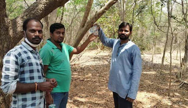 పక్షుల దాహార్తి తీర్చేందుకు యువత యత్నం