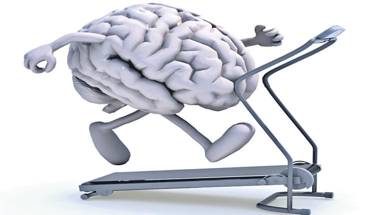 వ్యాయామంతో మెదడుకు బలం