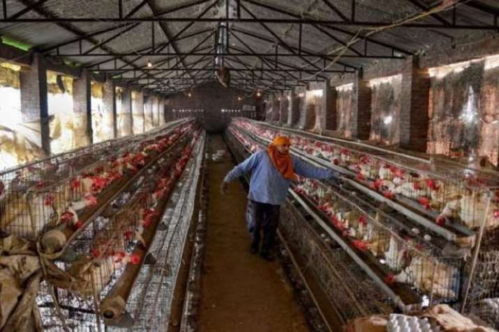 హలాలా.. జట్కానా.. రెస్టారెంట్లు ఆ బోర్డు పెట్టాల్సిందే