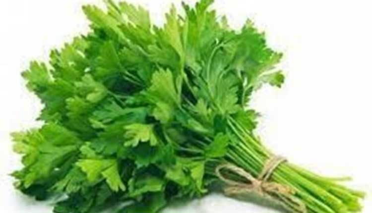 కొత్తిమీరే క‌దా అని తీసి పారేయ‌కండి