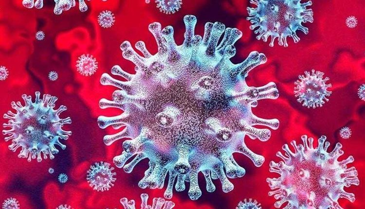 463 కరోనా కేసులు