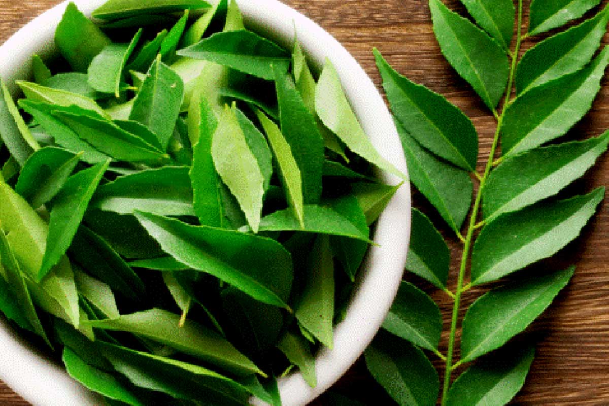 కూర‌లో క‌రివేపాకును తీసిపారేస్తున్నారా.. ఈ విషయాలు తెలిస్తే అలా చేయరు