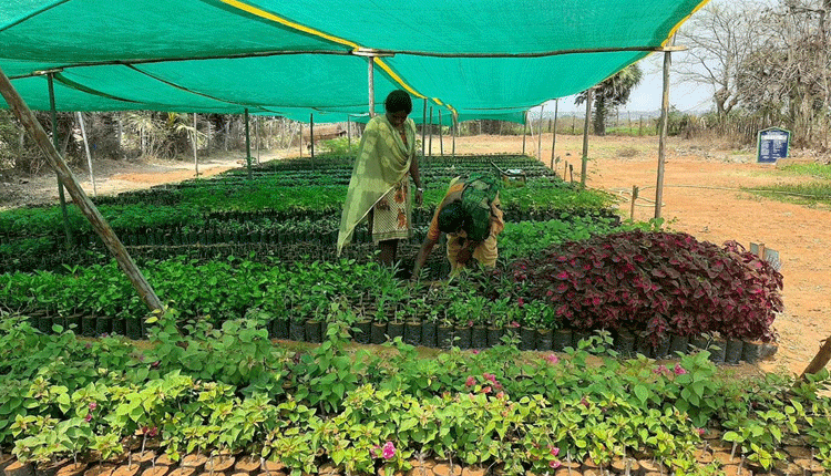 శాలపల్లికి కొత్తందాలు