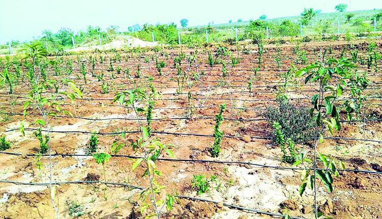 గంగారం..ఊరు బంగారం