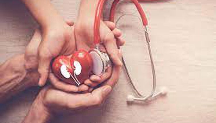 అంత‌ర్జాతీయ కిడ్నీ దినోత్స‌వం: కిడ్నీలు ఆరోగ్యంగా ఉండాలా? ఈ జాగ్ర‌త్త‌లు పాటించండి