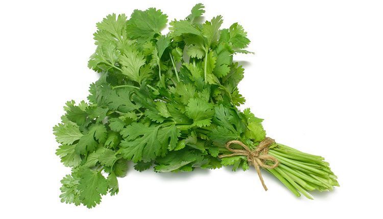 కొత్తిమీర‌తో జీర్ణ సమస్యలకు చెక్‌..!