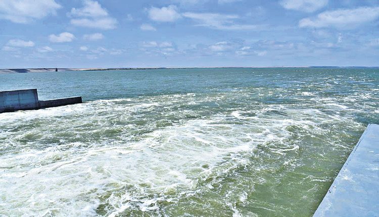 సజీవ జలధార