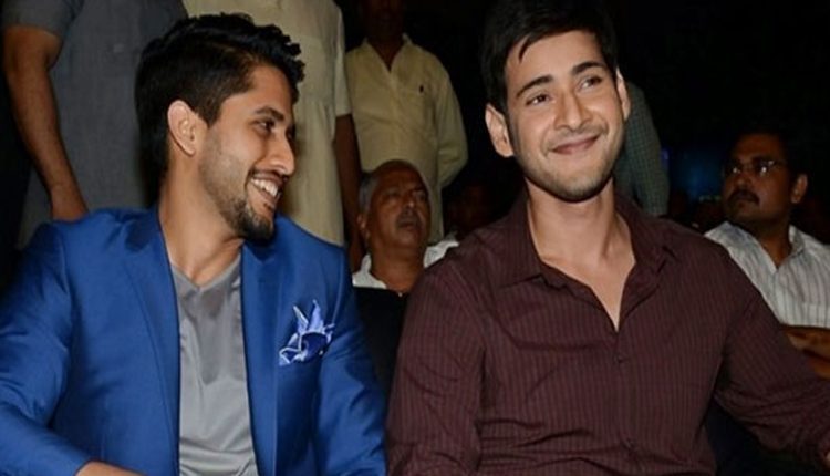 మహేష్ బాబు కటౌట్‌కు పాలాభిషేకాలు చేస్తున్న‌ నాగ చైతన్య