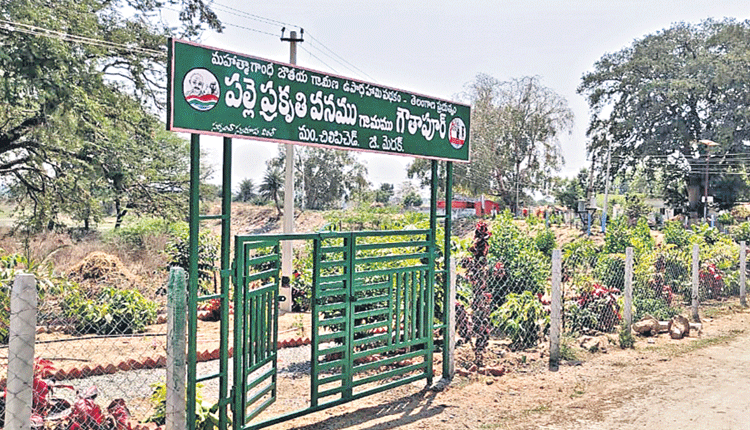 గౌతాపూర్‌ అభివృద్ధి ఘనం