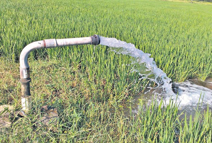 మన సాగు పండుగ