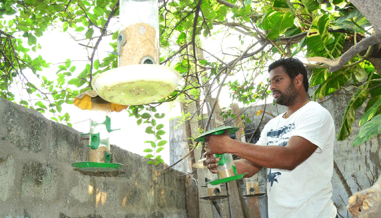 పిచ్చుకలే ప్రాణం