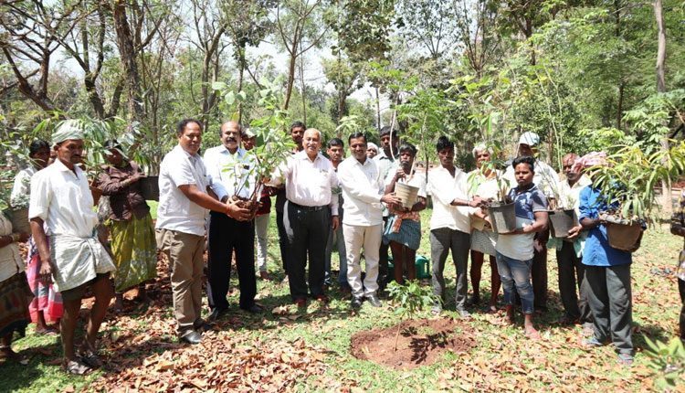 క‌విత జ‌న్మ‌దినం.. మొక్క‌లు నాటిన ప్ర‌గ‌తి రిసార్ట్ డైరెక్ట‌ర్స్‌