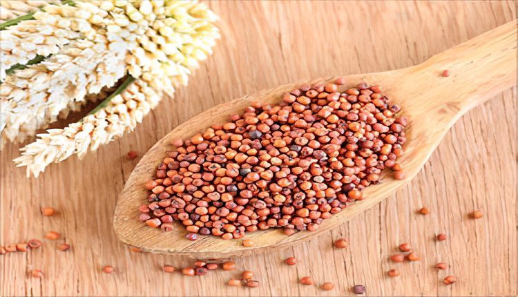 రాగులలో బియ్యం కంటే అధిక శాతం క్యాల్షియం