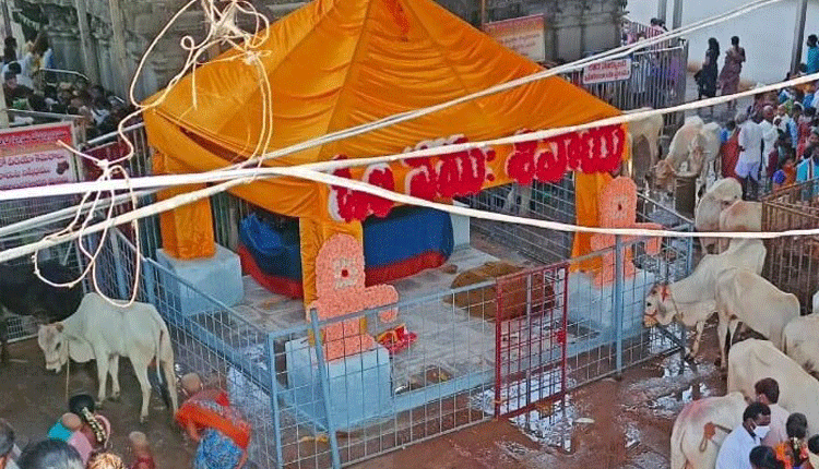 శివ కల్యాణానికి వేళాయే..