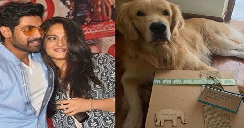 థ్యాంక్యూ బ్రో అంటూ అనుష్క ట్వీట్