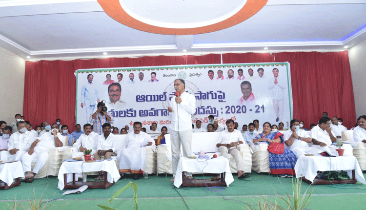 ఆయిల్‌ పామ్‌తో స్థిరమైన ఆదాయం