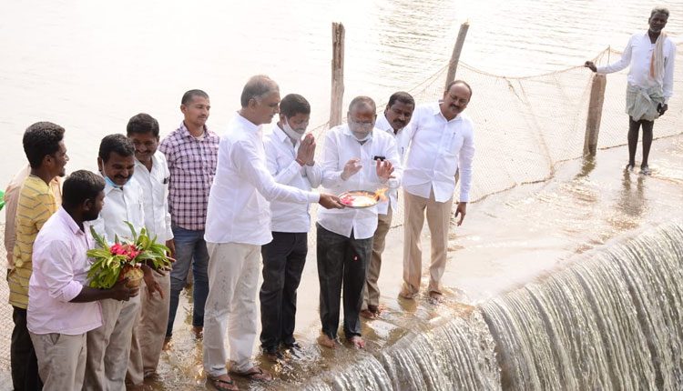 కాళేశ్వరం నీళ్లకు మంత్రి హరీశ్ రావు జల హారతి