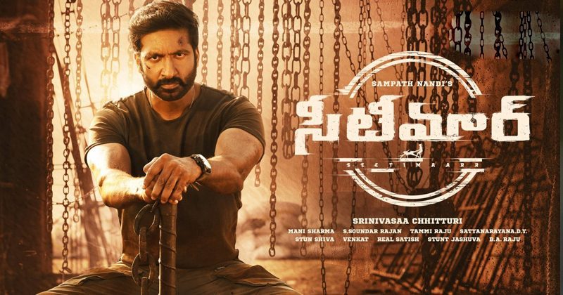 వాయిదా ప‌డ్డ గోపిచంద్ సీటీమార్