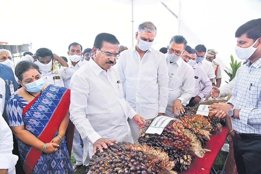 పసిడి పామాయిల్‌