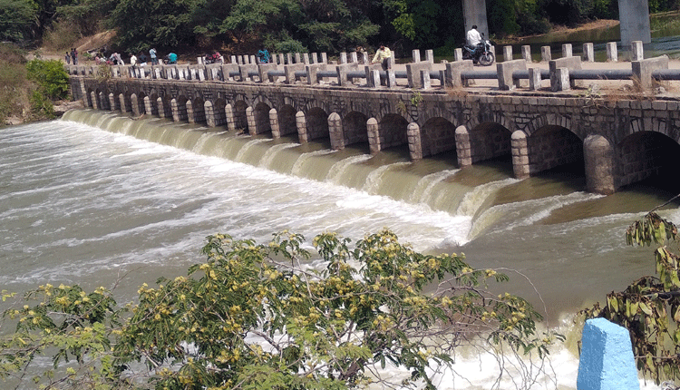 వాగునిండా జలధార