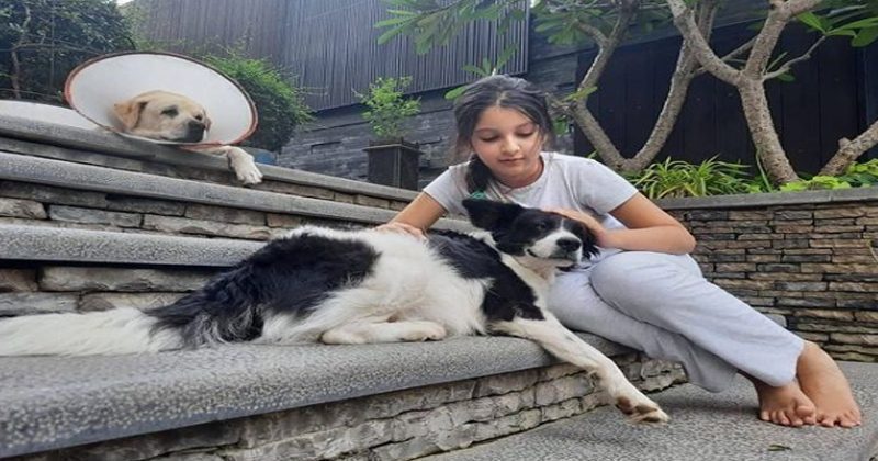 పెట్ డాగ్స్‌తో క్యూట్ సితార‌.. ఫొటోలు వైర‌ల్