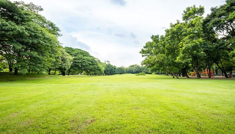 స్మోకింగ్, డ్రింకింగ్ మానేయాలా..? రోజూ అయితే ఇలా చేయండి