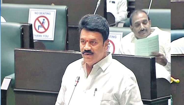 అర్హులందరికీ గొర్రెల యూనిట్లు: తలసాని