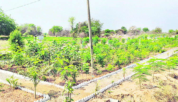 అజ్మీరతండాలో ‘ప్రగతి’ కాంతులు