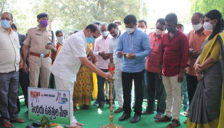 సుస్థిర సేంద్రియ వ్యవసాయంతో లాభాలు