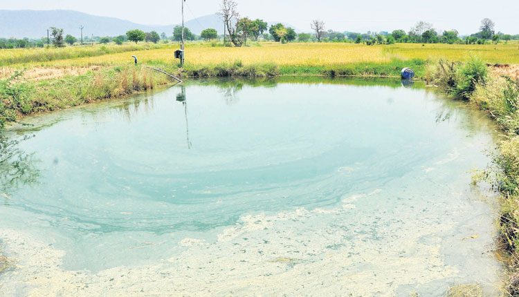 జల సవ్వడి