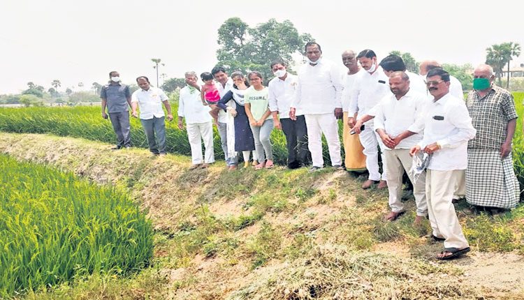 ఈనెల 16 నుంచి ధాన్యం కొనుగోళ్లు