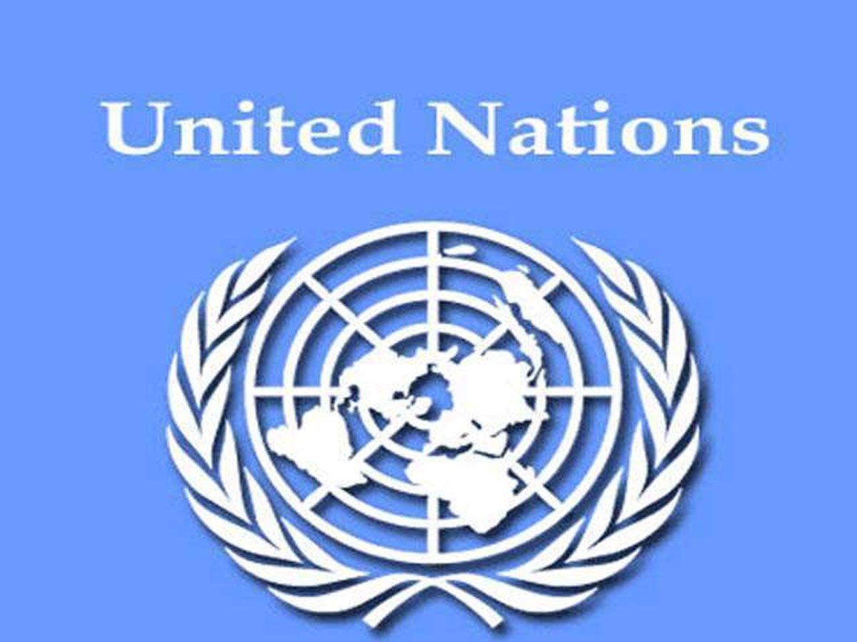 ఐక్యరాజ్య సమితి ముఖ్య కమిటీల్లో భారత్‌ సభ్యత్వం
