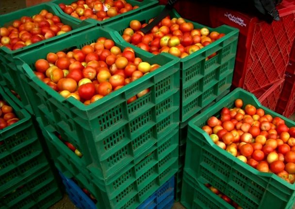 పంట పండింది..రైతుకి మండింది