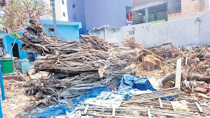 భారీ మర్రిచెట్టు కూల్చివేత