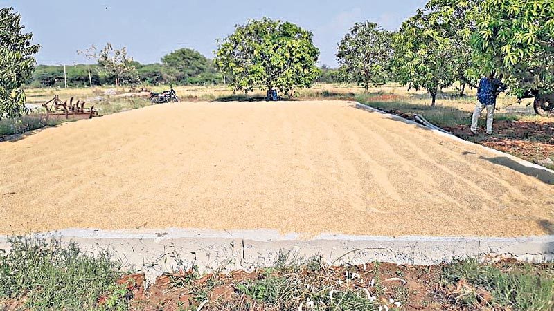 తీరిన కల్లం చింత