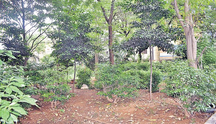 ఆహ్లాదానికి చిరునామా..