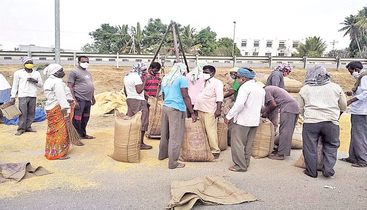 జోరందుకున్న వరి ధాన్యం కొనుగోళ్లు
