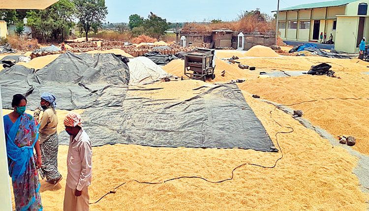 వీఏవోల సస్పెన్షన్‌