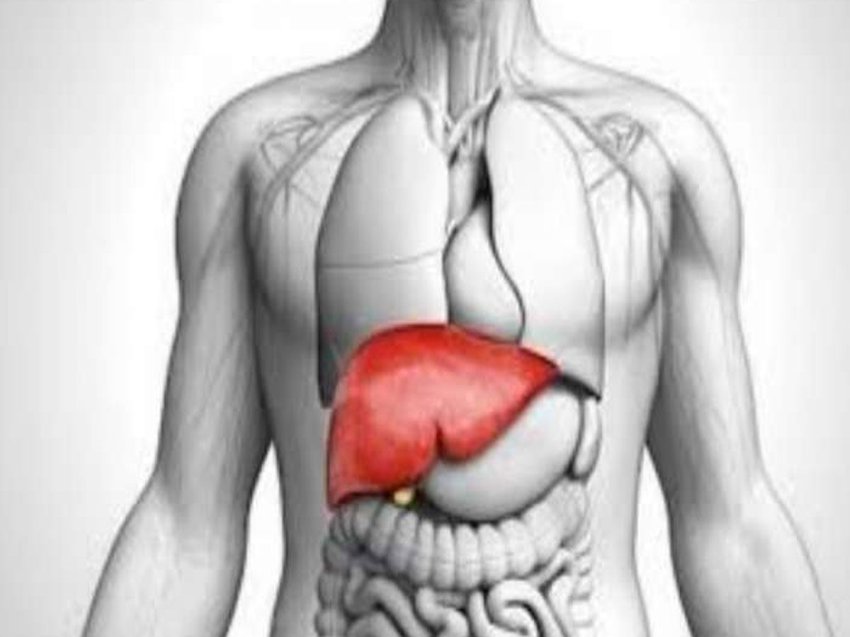 మీ కాలేయాన్ని ఇలా ఆరోగ్యంగా ఉంచుకోండి.. ఇవాళ వరల్డ్‌ లివర్‌ డే