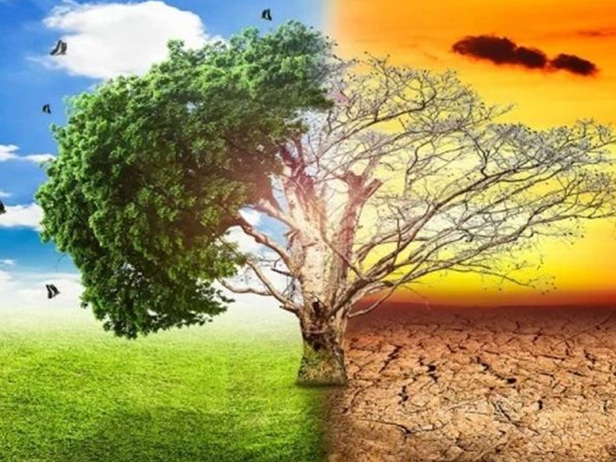 ఈ ఏడాది ఎండలు ఎక్కువే..!